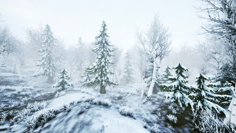 Wintersturm-In-Einem-Wald-Im-Winter