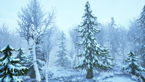 Wintersturm-In-Einem-Wald-Im-Winter
