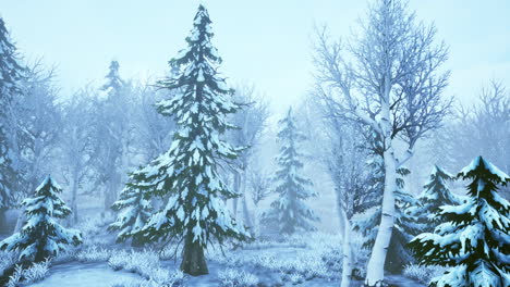 winter-storm-in-a-forest-in-winter