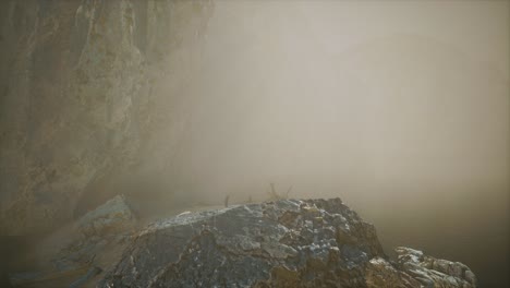 rocky-cliff-with-sand-beach-in-deep-fog