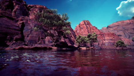 colorado-river-with-gorgeous-sandstone-walls-and-canyons