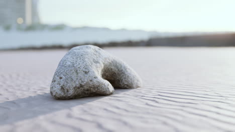 old-white-coral-on-sand-beach