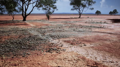 cracked-ground-dry-land-during-the-dry-season