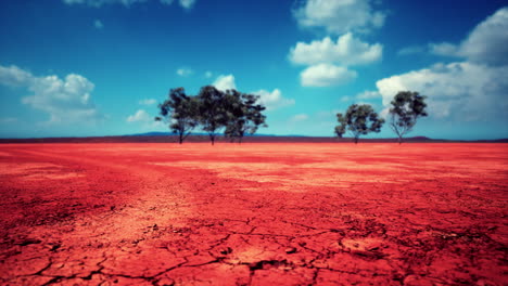 Rissiger-Boden,-Trockenes-Land-Während-Der-Trockenzeit