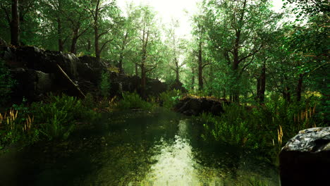 small-pond-in-the-forest-with-moss-covered-rocks