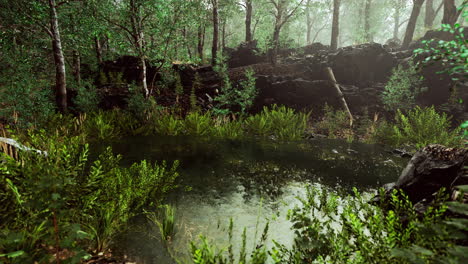 forest-spring-landscape-with-overgrown-pond