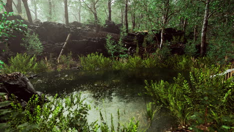 Waldfrühlingslandschaft-Mit-überwuchertem-Teich