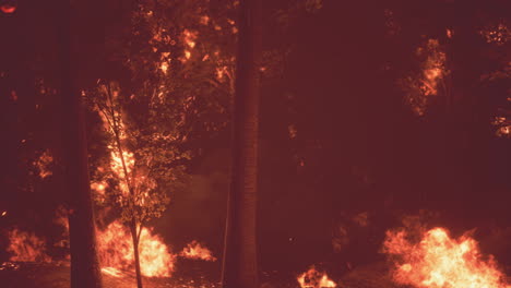 Intensive-Flammen-Eines-Massiven-Waldbrandes