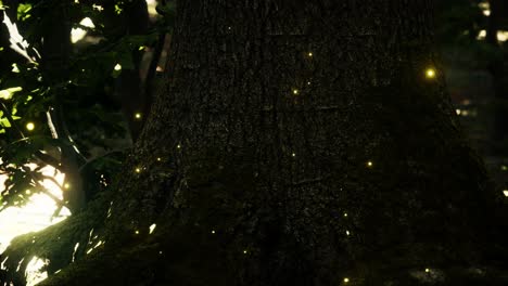 Fantasy-firefly-lights-in-the-magical-forest