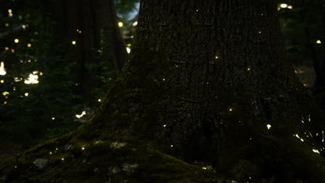 Fantasy-firefly-lights-in-the-magical-forest