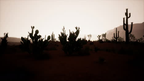 Vista-Del-Atardecer-Del-Desierto-De-Arizona-Con-Cactus-Saguaro-Y-Montañas