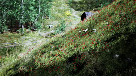 Wunderschöne-Aussicht-Auf-Eine-Idyllische-Alpine-Berglandschaft-Mit-Blühenden-Wiesen