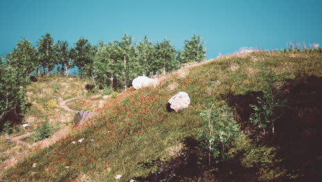 Idyllische-Landschaft-In-Den-Alpen-Mit-Frischen-Grünen-Wiesen-Und-Blühenden-Blumen