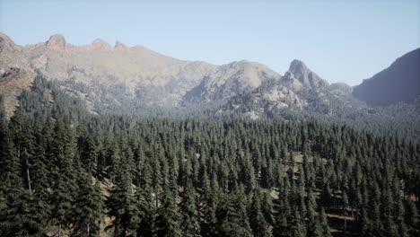 Hermosa-Vista-Del-Atardecer-En-El-Bosque-De-Cedros-Frente-A-La-Cordillera-De-Sayan