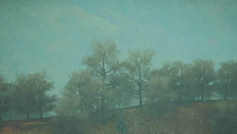 Pequeños-árboles-Verdes-En-Las-Colinas-En-La-Niebla