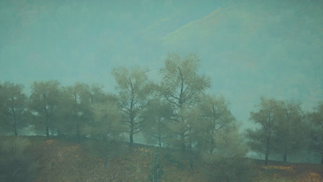 Pequeños-árboles-Verdes-En-Las-Colinas-En-La-Niebla