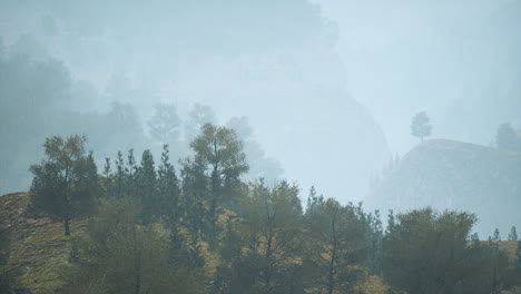 Bäume-Auf-Der-Wiese-Zwischen-Hügeln-Mit-Wald-Im-Nebel