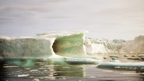A-wide-low-angle-view-of-melting-sea-ice-floes-in-still-waters-of-Arctic