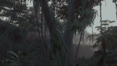 Selva-Tropical-Profunda-En-La-Oscuridad