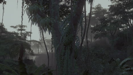 Escena-Mirando-Directamente-A-Una-Densa-Selva-Tropical