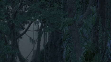 Tiefer-Tropischer-Dschungel-In-Der-Dunkelheit