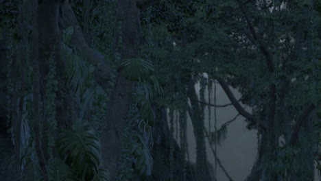 Szene,-Die-Direkt-In-Einen-Dichten-Tropischen-Regenwald-Blickt