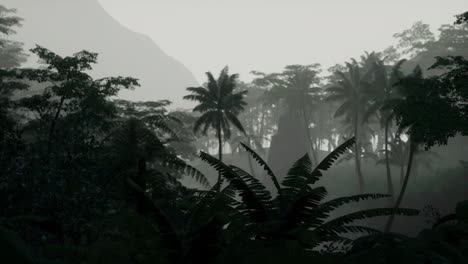 Tiefer-Tropischer-Dschungel-In-Der-Dunkelheit
