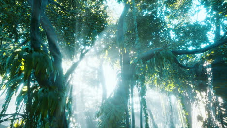 green-tropical-forest-with-ray-of-light