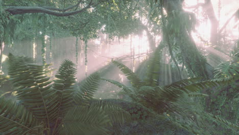 Lush-rain-forest-with-morning-fog