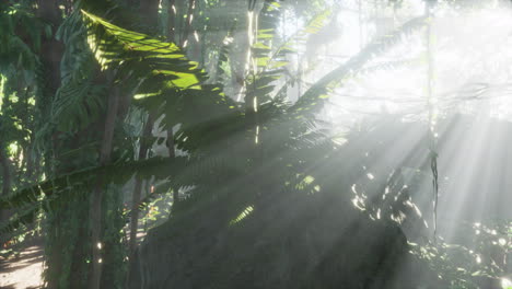 Foto-In-Einem-Regenwald,-Der-Mit-Hellgrünem-Moos-Bedeckt-Ist