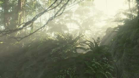 Nebliger-Dschungel-In-Den-Chiang-Dao-Bergen