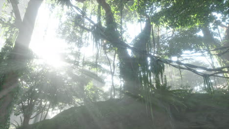 Tiefe-Tropische-Dschungel-Südostasiens