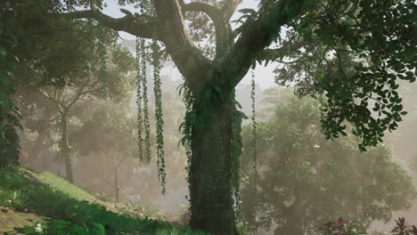 Densa-Selva-Tropical-Con-Niebla-Matutina