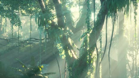 Tiefer-Tropischer-Dschungel-Regenwald-Im-Nebel