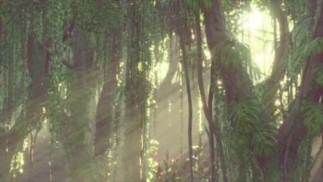 Tiefer-Tropischer-Dschungel-Regenwald-Im-Nebel