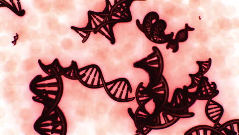 DNA-gene-helix-spiral-molecule-structure