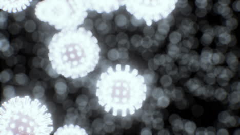 Virus-cells-or-bacterias-under-microscope