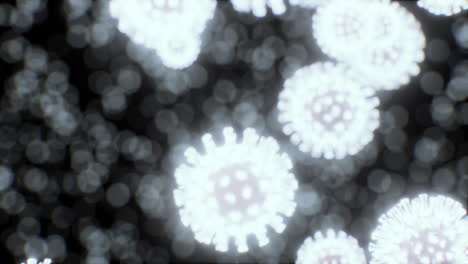 Viendo-El-Navirus-Bajo-Un-Microscopio-Digital
