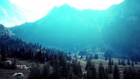 Camino-De-Tierra-Y-Senderos-Para-Caminatas-En-La-Montaña-Dolomitas