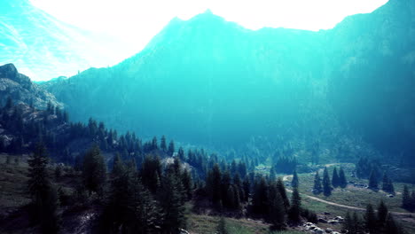 Sinuoso-Camino-De-Montaña-Sobre-Prados-Alpinos-Al-Borde-Del-Bosque