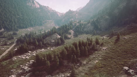Bergpfad,-Wandern-Zu-Waldwegen