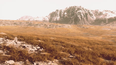 Ebene-Mit-Getrocknetem-Gras-Und-Berggipfeln-Im-Hintergrund