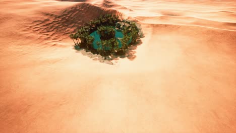 top-down-aerial-view-of-oasis-in-desert