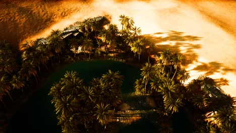 top-down-aerial-view-of-oasis-in-desert