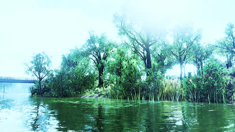 Summer-green-forest-pond-landscape