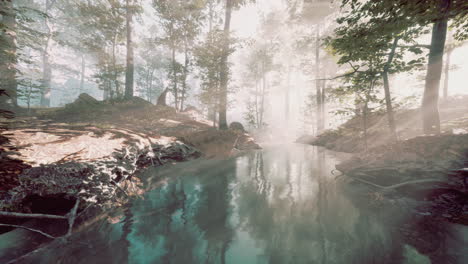 Am-Frühen-Morgen-Bedeckte-Weißer-Dichter-Nebel-Den-Teich
