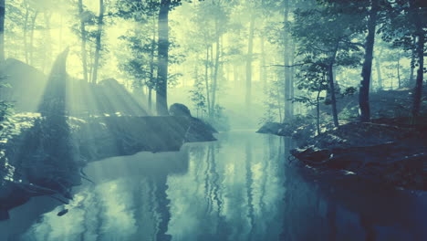 pond-in-a-forest-with-fog