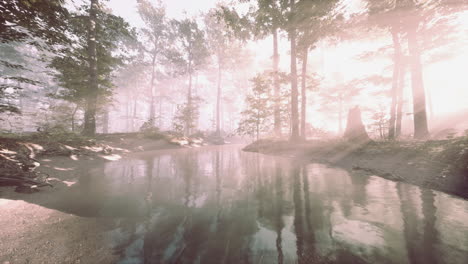 Am-Frühen-Morgen-Bedeckte-Weißer-Dichter-Nebel-Den-Teich