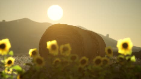 hay-bales-in-the-sunset