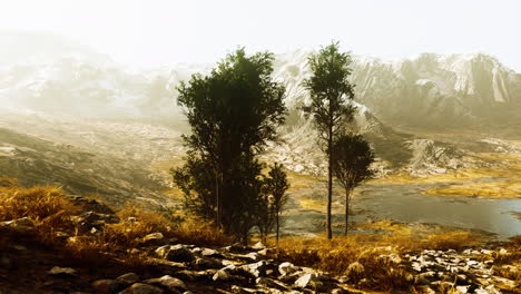 Wunderschöne-Felsen-Mit-Wenigen-Bäumen-Bei-Tageslicht-In-Nepal